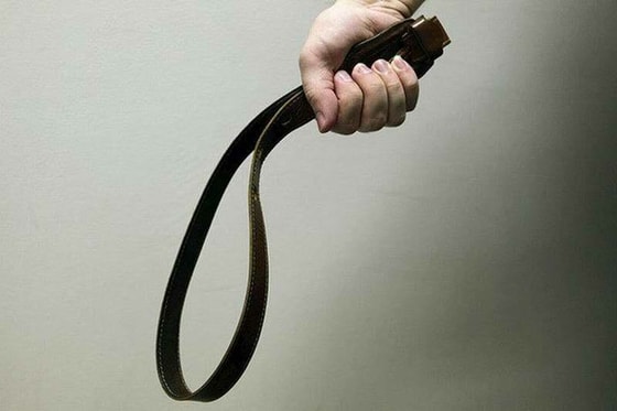 Фото:&nbsp;Яндекс.Дзен