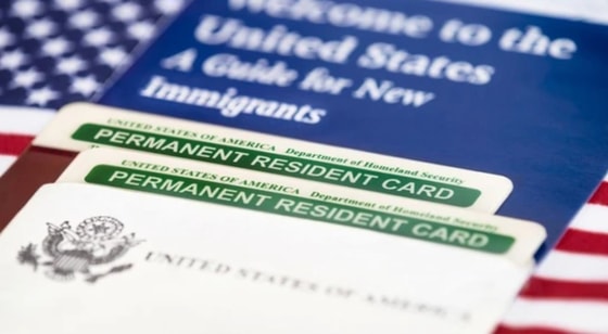 Фото: Открытые источники