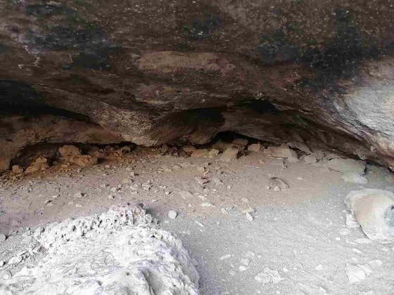 Фото: Пресс-служба хокимията Сурхандарьинской области