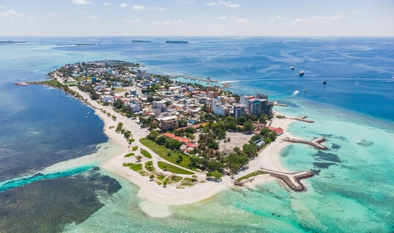 Фото: Shutterstock