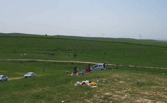 Фото: Открытые источники