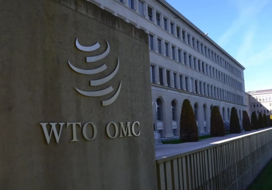 Фото: WTO