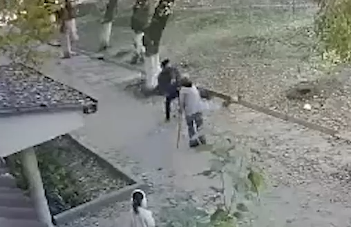 Кадр из видео