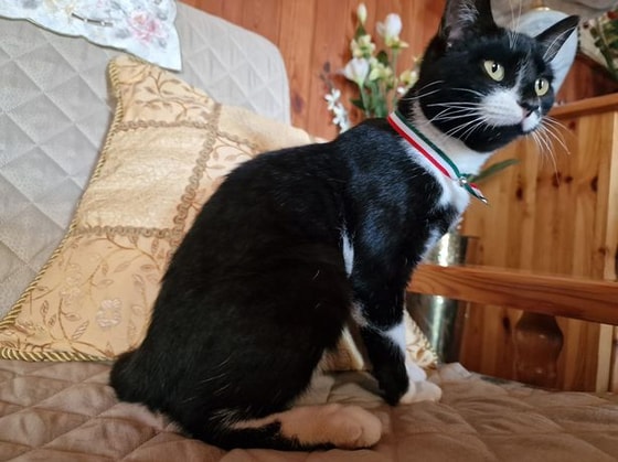 Фото: Daily Mail