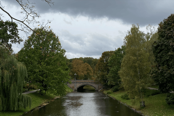 Парк на Бастионной горке