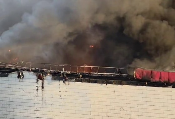 Кадр из видео