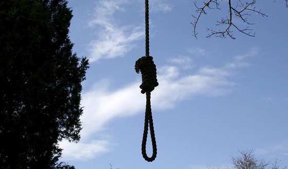 Фото: шокс.рф