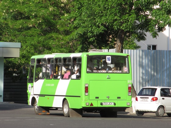 Фото:&nbsp;fotobus.msk.ru