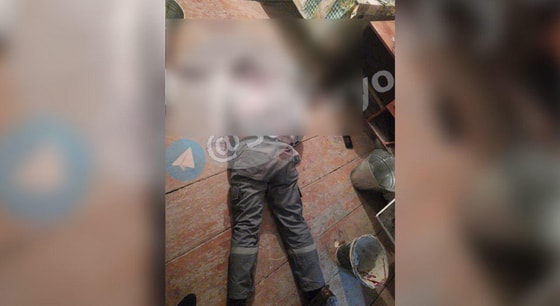 Фото: Telegram / @sirdaryo