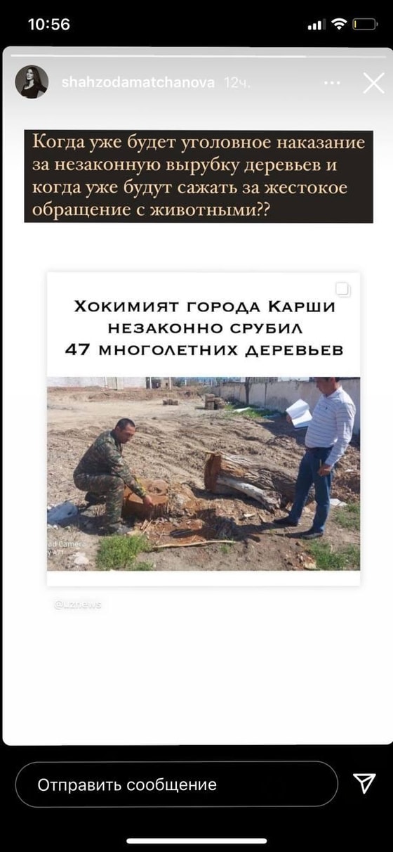 Фото: stories/shahzodamatchanova