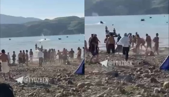 Кадры из видео