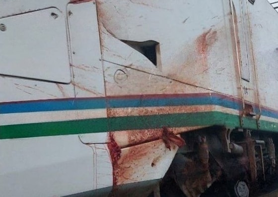 Фото: Хаёт Шамсутдинов