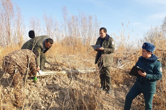 Фото: Минэкологии