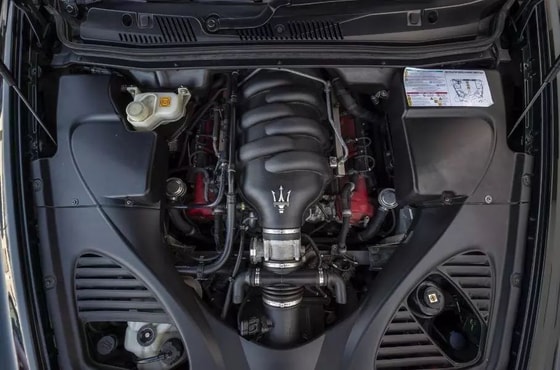 Фото: The Market