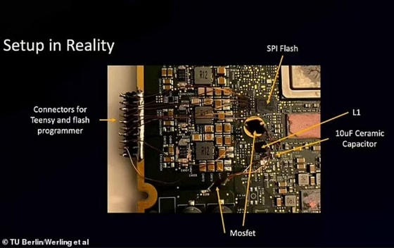 Фото: Berlin Werling et al