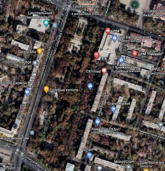 Вид со спутника на парковую зону, в которой по проекту предполагается постройка&nbsp;