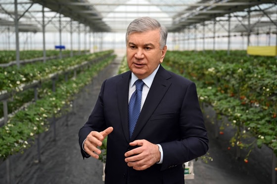 Фото: Пресс-служба президента