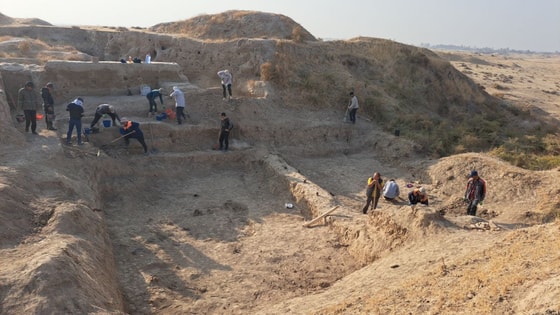 Фото: Академия наук