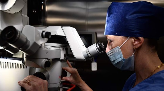 Фото: РИА Новости