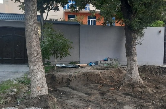 Фото: Управление экологии Ферганской области