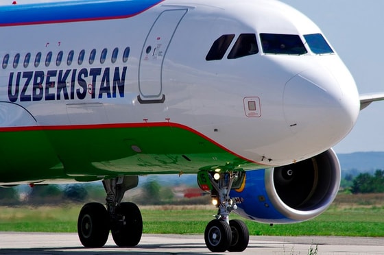 Фото:&nbsp;Bigasia.ru