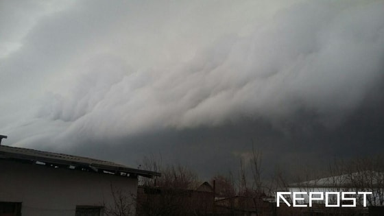 Repost.uz / Фото куплено у мобильного репортёра