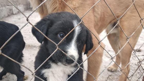 Фото:&nbsp;nuz.uz