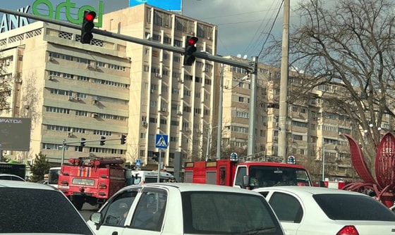 Фото: Repost&nbsp;