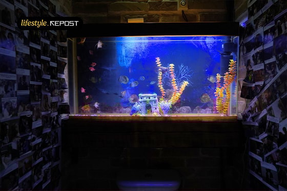 Фото: Repost Lifestyle