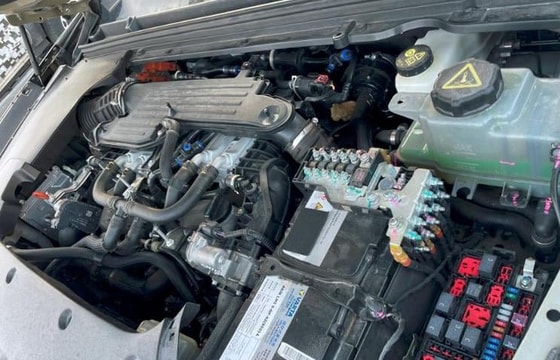 Фото: carnewschina