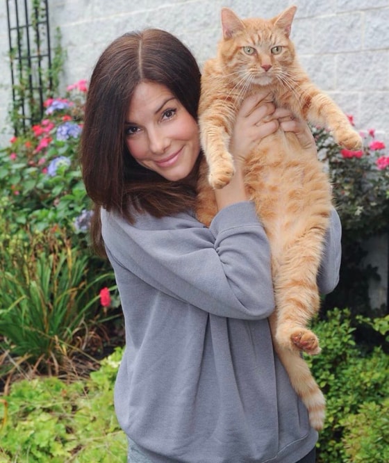 Фото: Peopletalk