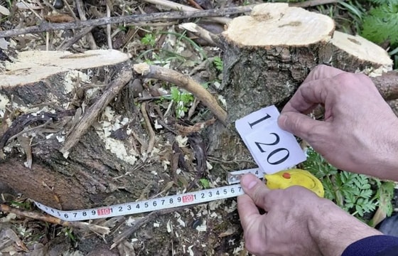 Фото: Комитет по экологии