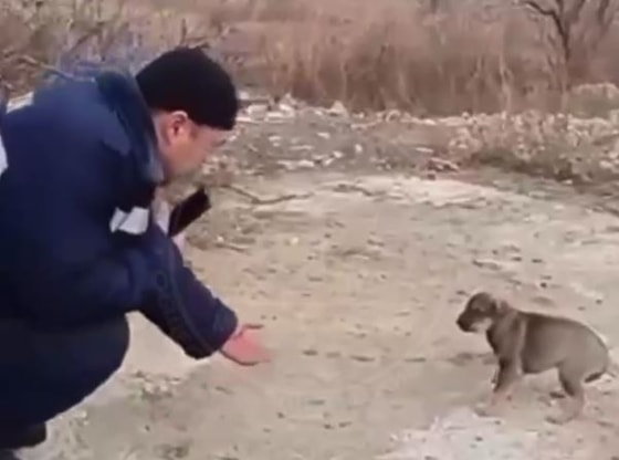 Кадр из видео