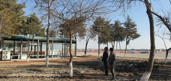 Фото:&nbsp;Ecopoytaxt