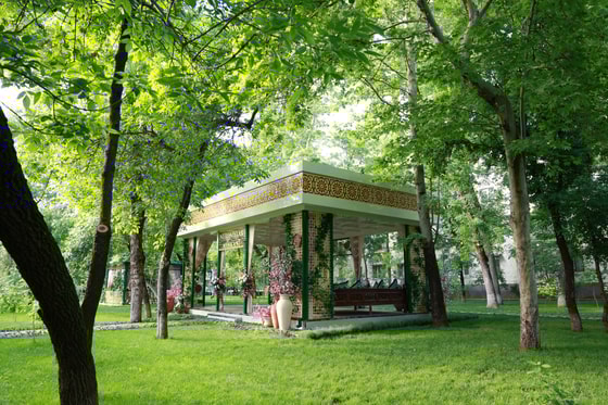 Фото: Пресс-служба президента