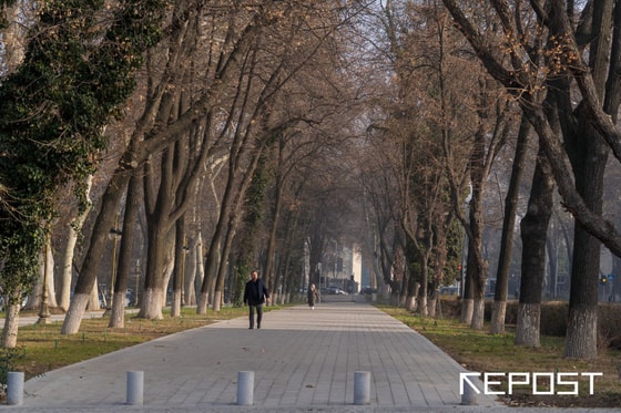 Фото: Repost.uz