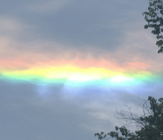 Фото: Дайджест