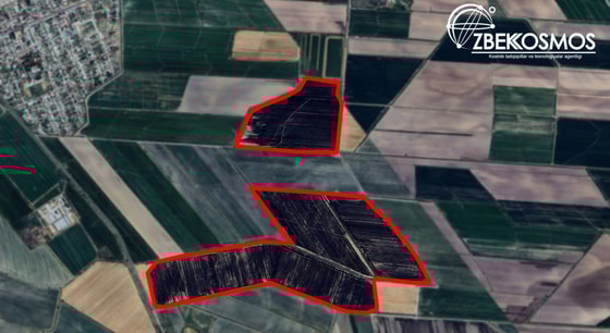 Фото: «Узбеккосмос»