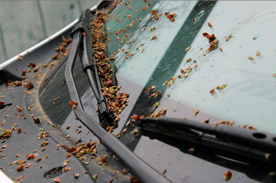 Фото: Mosregtoday.ru