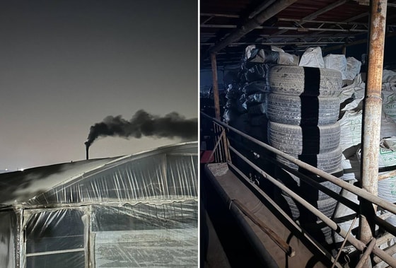 Фото: Комитет экологии