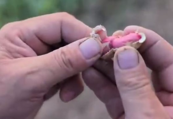 Кадр из видео