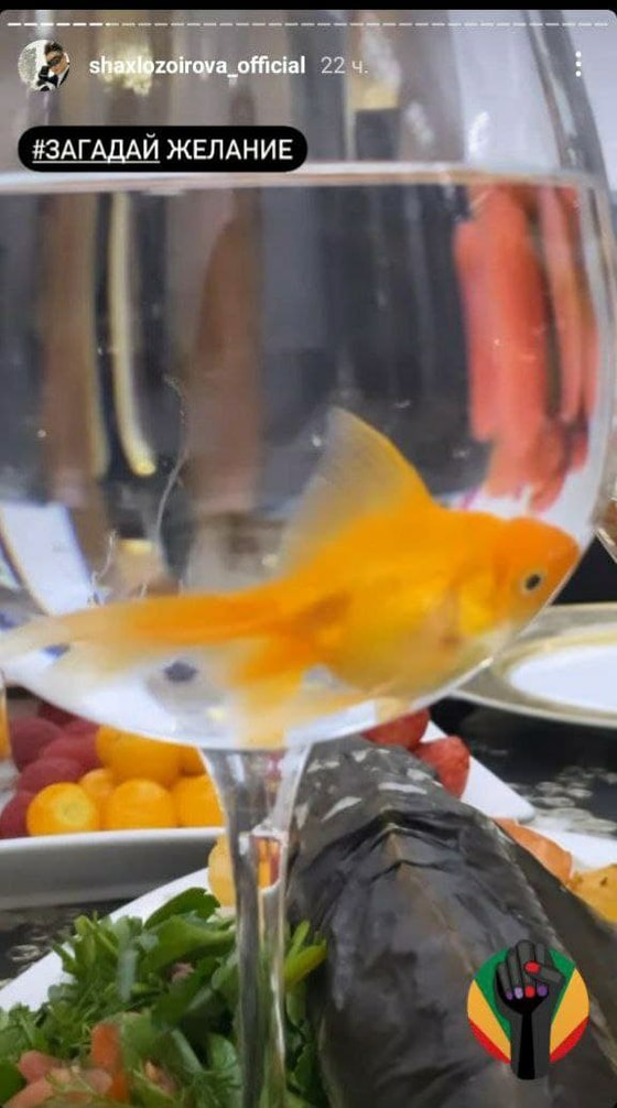 Фото: Instagram/shaxlozoirova