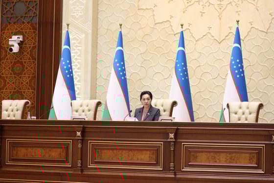 Фото: Пресс-служба Сената