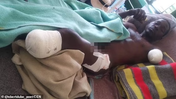 Фото: Daily Mail