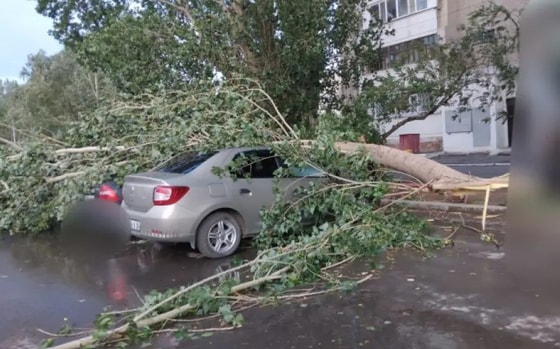 Фото: Tengrinews