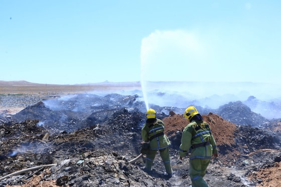Фото: Пресс-служба управления экологии и охраны окружающей среды Навоийской области