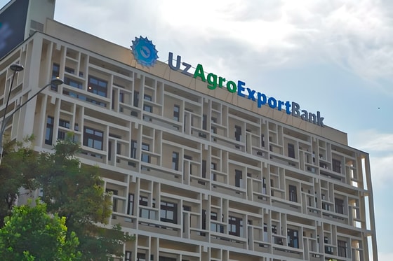 Фото: Открытые источники