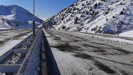 Фото:&nbsp;news.myseldon.com