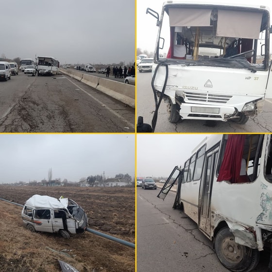 Фото: ГУБДД