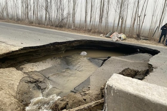 Фото: Telegram / @trolluz